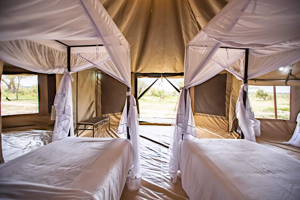 Ndutu Migration Camp image 4